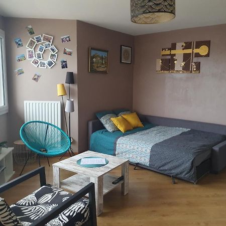 Loft Tres Calme Parking Et Balcon Dijon Exterior foto